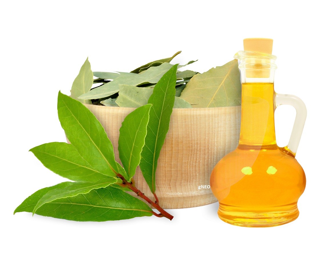 Surya Perfumers products